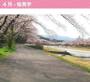 4月の初めにマイクロバスにて桜を見に行っています。（1週間）
